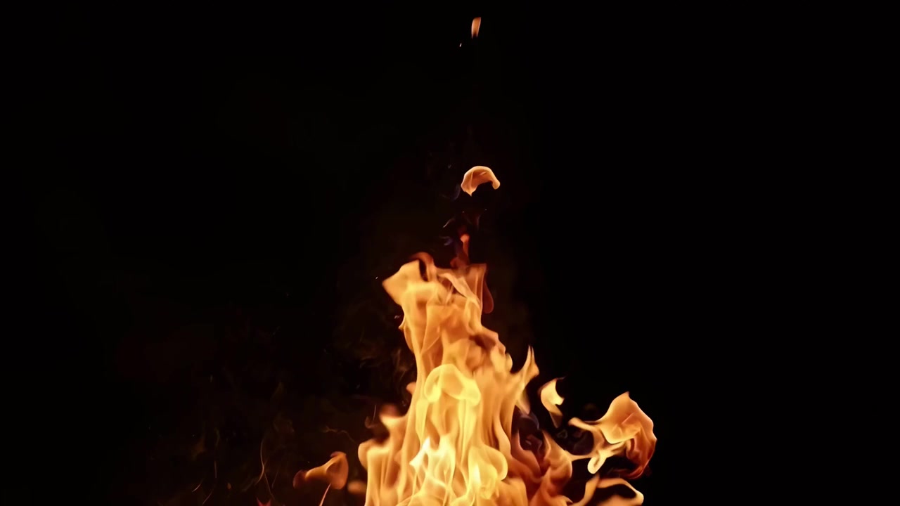 Bright Orange Flames Burning on Wood Logs Against Black Background
