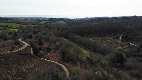 Toma-Aérea-De-Los-Brezales-En-Woodbury-Common-Exmouth-Devon,-Inglaterra,-Mostrando-Los-Diversos-Senderos-Para-Caminar