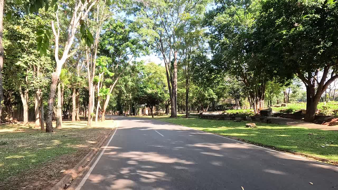 울창한 초록색으로 둘러싸인 평화로운 길