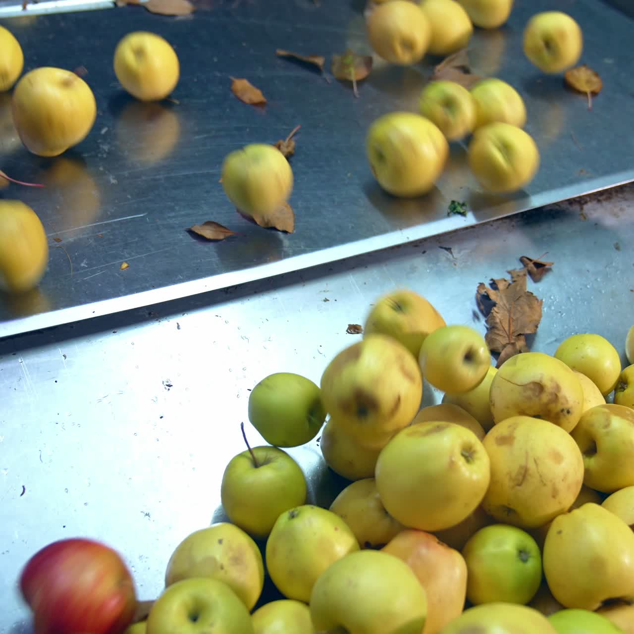 Fresh farming healthy food factory. Apple juice factory making