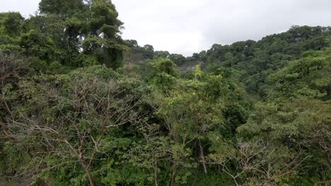 Quiet-and-secluded-Playa-La-Vaca-on-the-tropical-coast-of-Costa-Rica