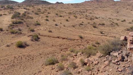 un dron revela una toma de un solo carril para bicicleta de montaña en el desierto de karoo