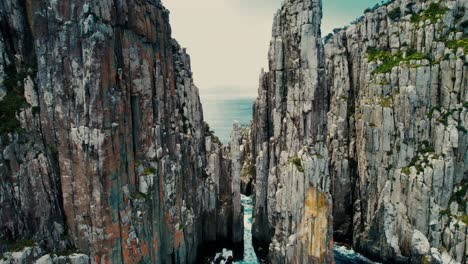 cape hauy drone flys in between sea cliffs in tasmania, australia