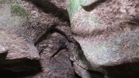 dentro de una cueva