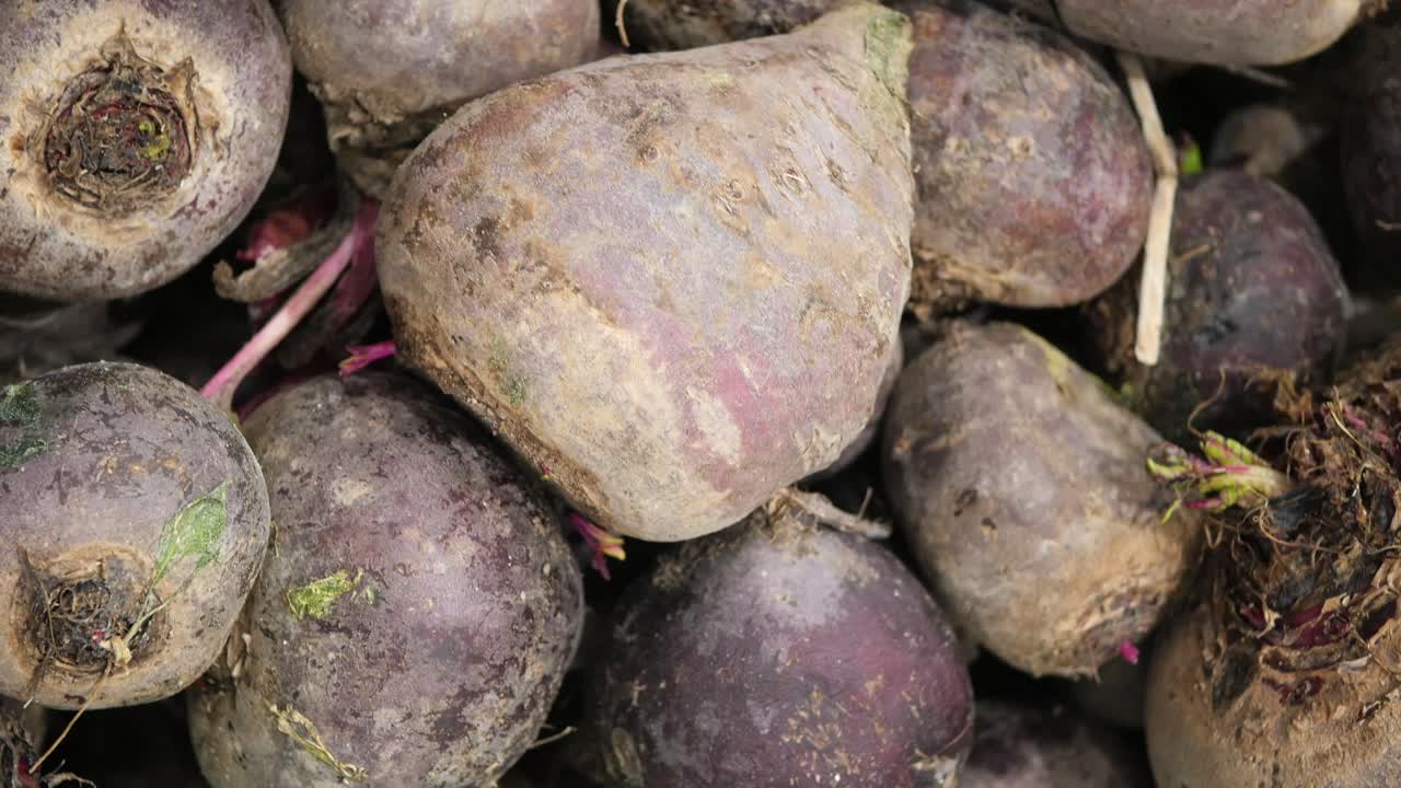 Primo piano di barbabietole appena raccolte