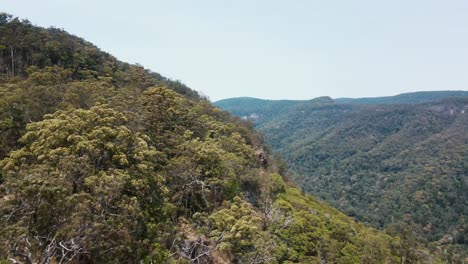avión no tripulado se mueve hacia adelante hacia abajo sobre los bosques nativos australianos tierras montañas con un poco de niebla