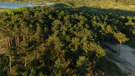 Drone-footage-of-National-Park-Kennemerland-and-vogelmeer-in-The-Netherlands-with-sunset