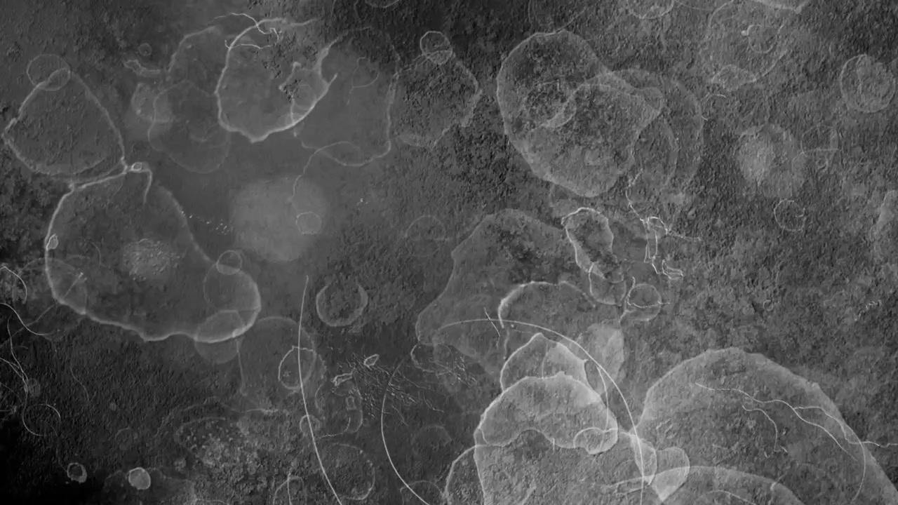 Abstract Grunge Texture with Animated Ink Stains and Scratches