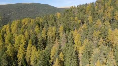 Aerial-Flight-Above-Colorful-Trees-Reveals-Tiny-Village-in-Valley-Below