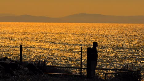 Die-Silhouette-Des-Mannes-Während-Einer-Dämmerung-Auf-See