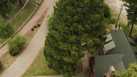 drone flyover view of a public cabin recreational area inside plumas national forest in california.