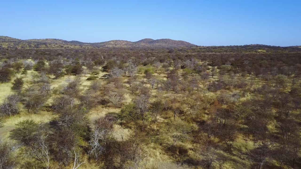 toma aérea, volando sobre un paisaje de sabana seca con montañas en el fondo