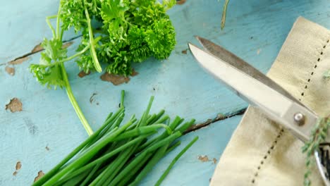 Various-herbs,-scissors-and-napkin-on-wooden-table-4k