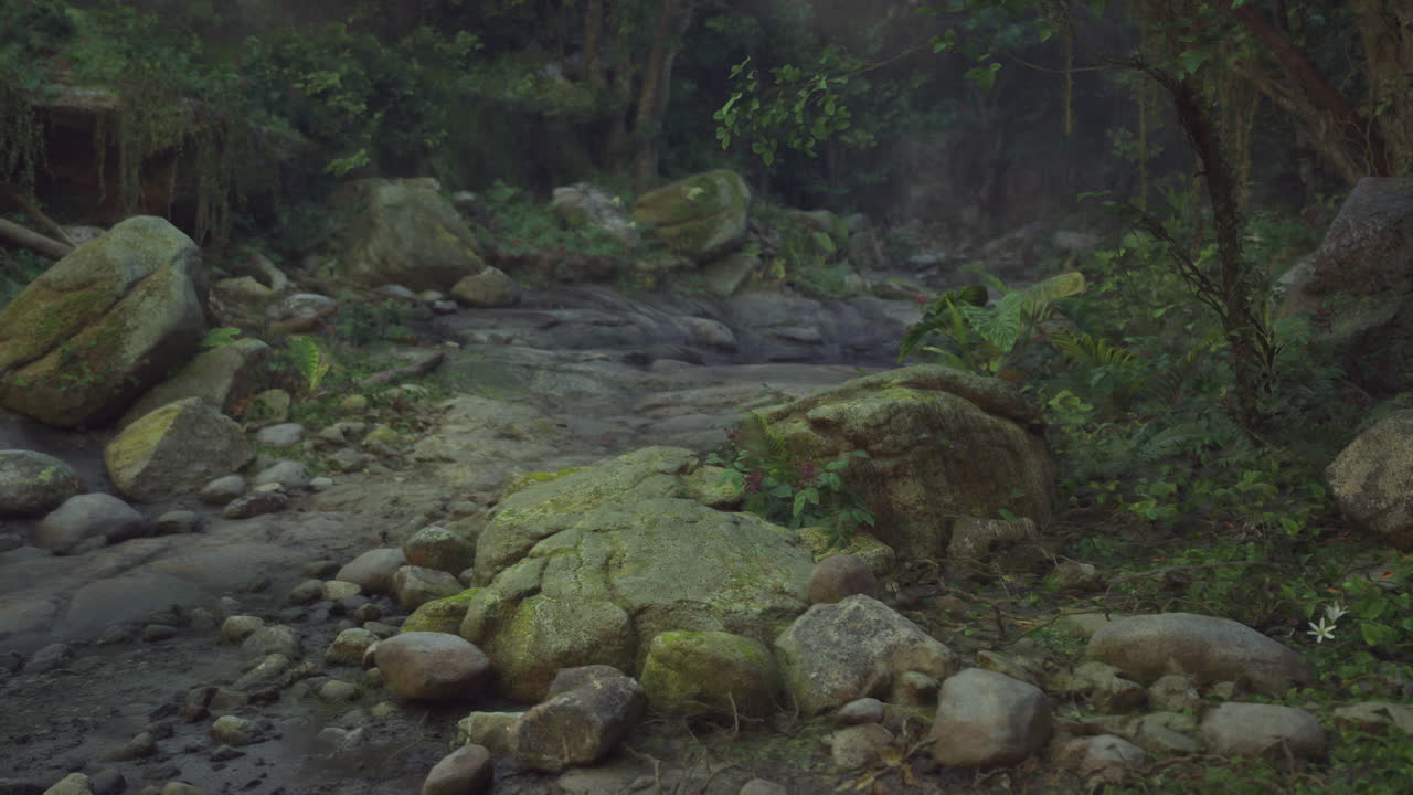 camino de bosque brumoso con rocas de musgo