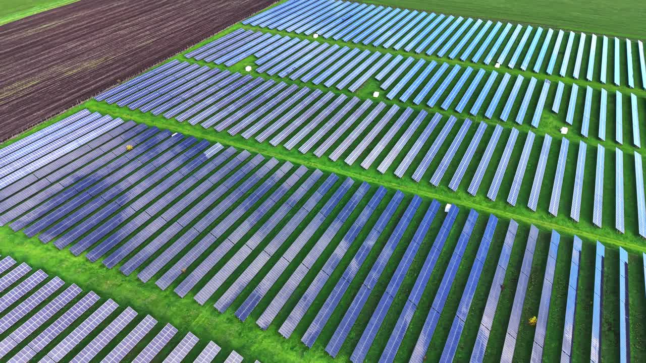 Pannelli solari disposti in file ordinate che ricoprono un campo verde, in vista aerea