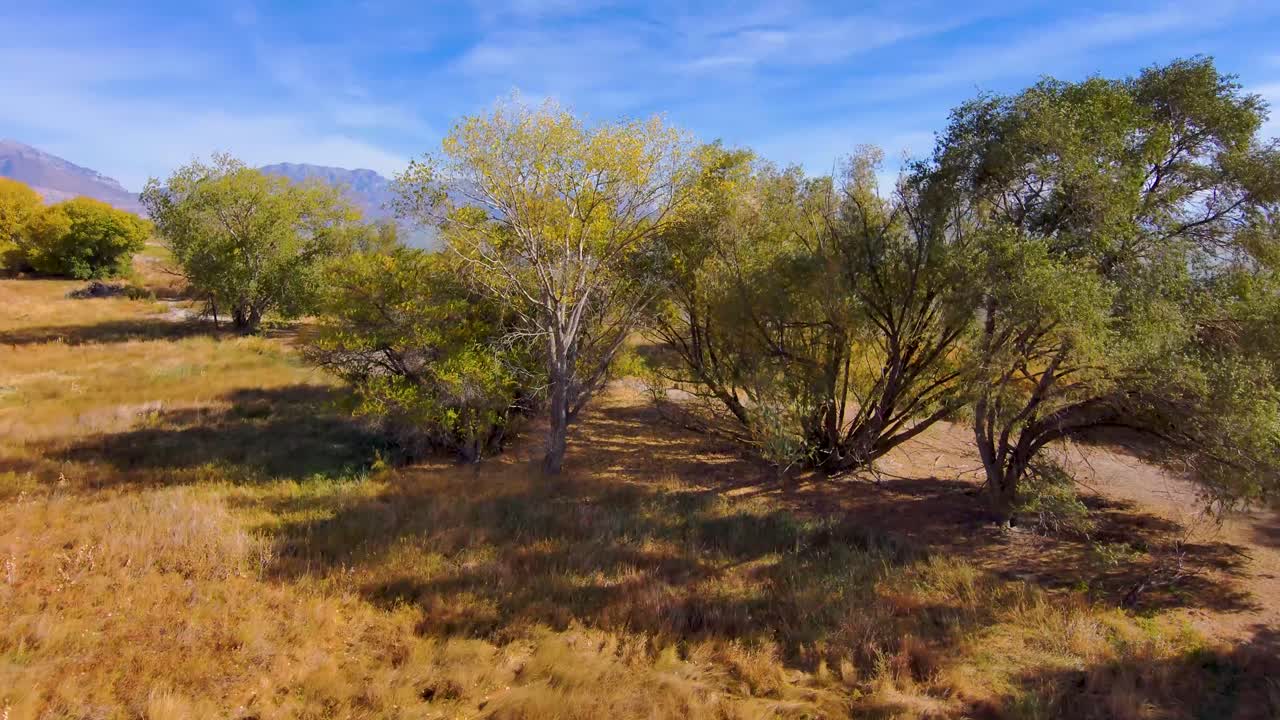 vista directa hacia abajo de la hierba seca, luego incline hacia arriba, empuje hacia adelante para volar sobre los árboles y revelar un enorme lago y una cordillera