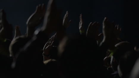 excited audience on musical festival