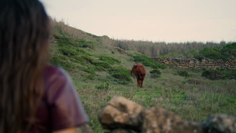 Woman-looking-cow-grazing-at-field-evening-time.-Girl-standing-on-gloomy-nature.