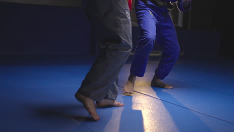 martial arts sparring