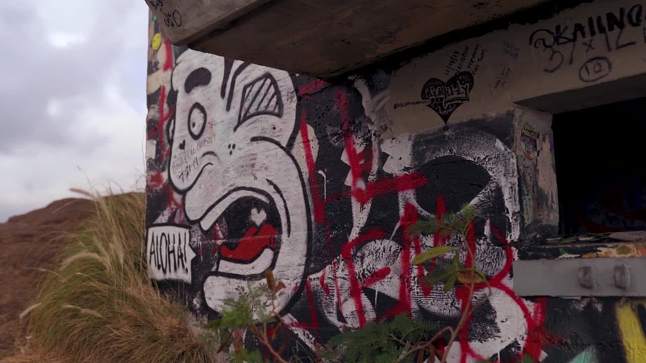 hermosa caminata con vista a la playa de hawai con un par de pastilleros en la parte superior