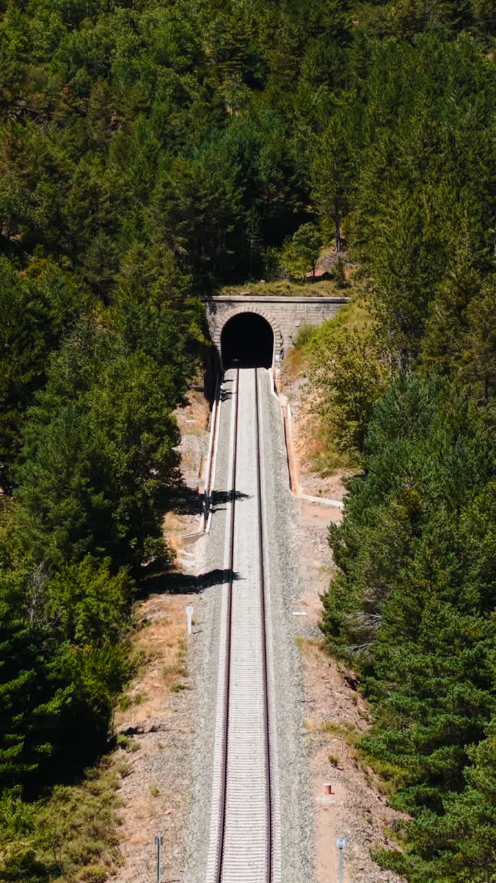 Galleria ferroviaria che attraversa una foresta