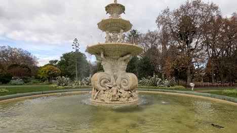 a serene fountain amidst lush greenery