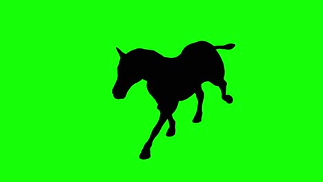 a silhouette of a zebra running on green screen, perspective view