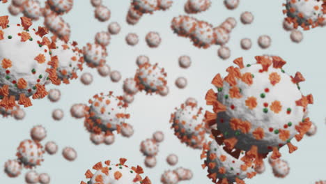 animación de múltiples células de coronavirus que se propagan e infectan flotando