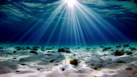 sunlight underwater scene
