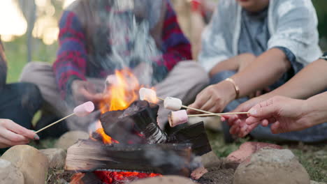 marshmallow, bonfire and group of people