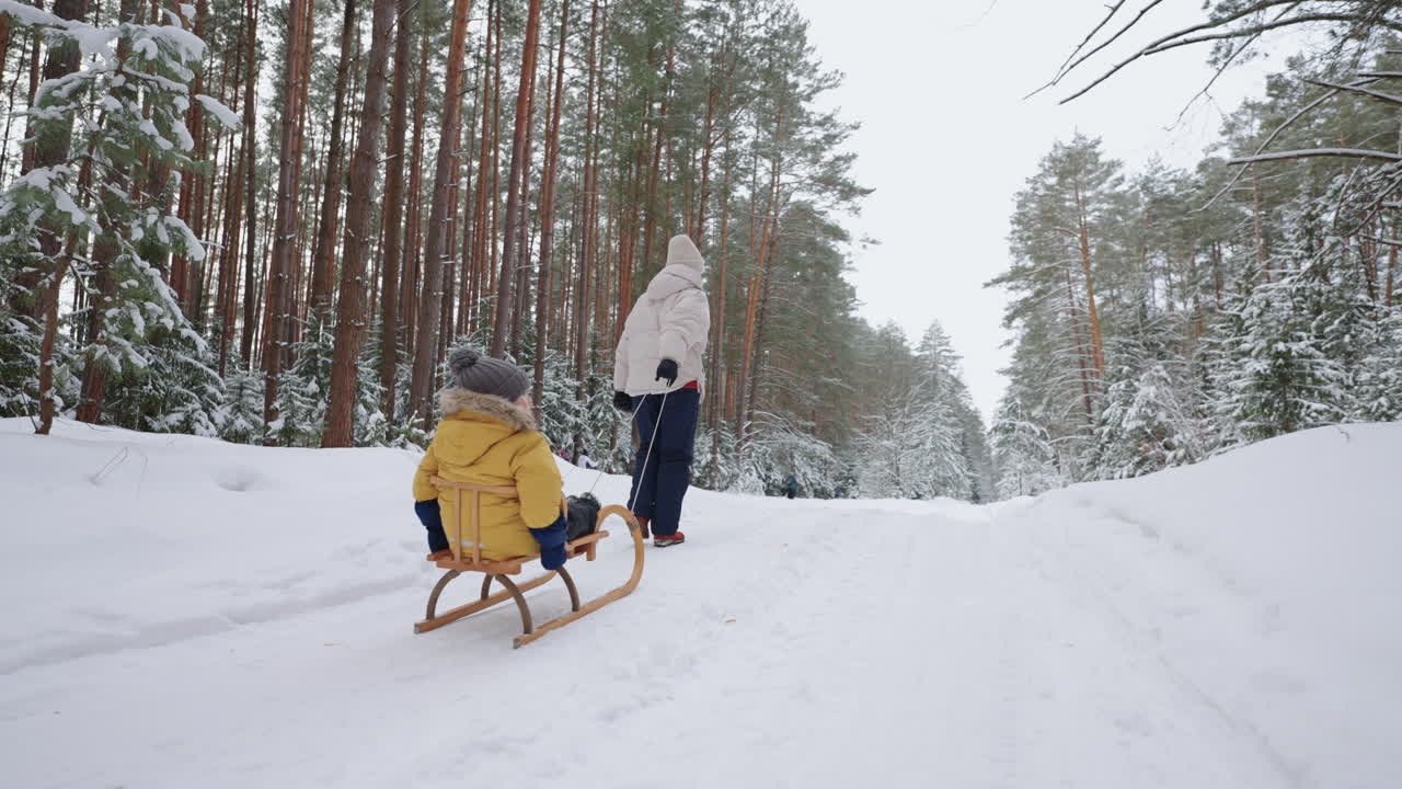 bambino piccolo sta cavalcando la slitta nella foresta innevata donna sta tirando la slitta nella foresta in inverno