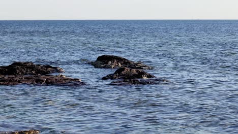 waves gently crash on rocky shore