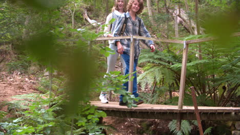 siblings exploring a forest, shot through foliage