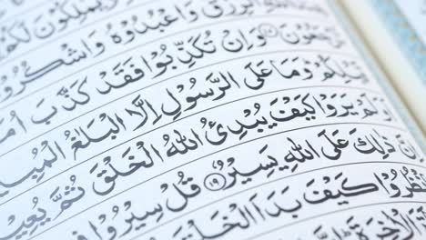 quran pages