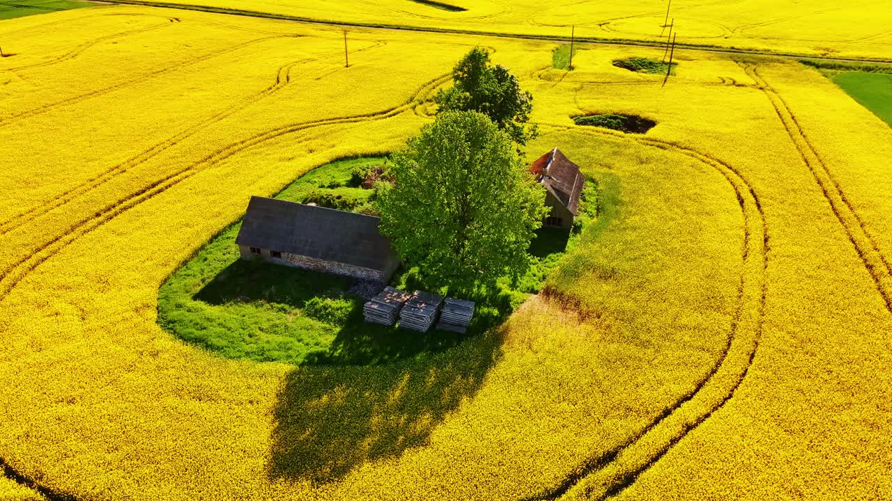 Oversigtsbillede af en forårsscene, der afspejler isolation og modstandsdygtighed i landbrugsland.