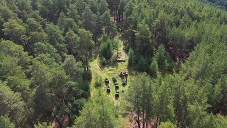 aventura en quad en el bosque