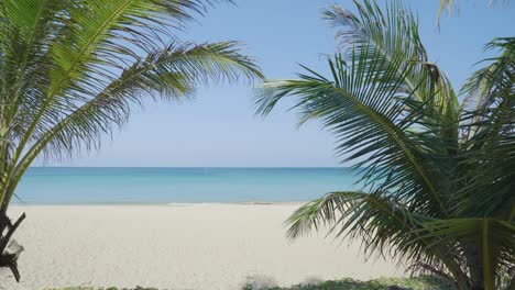 scenic view panorama empty tropical beach and coconut palm trees against blue sky . hawaii.