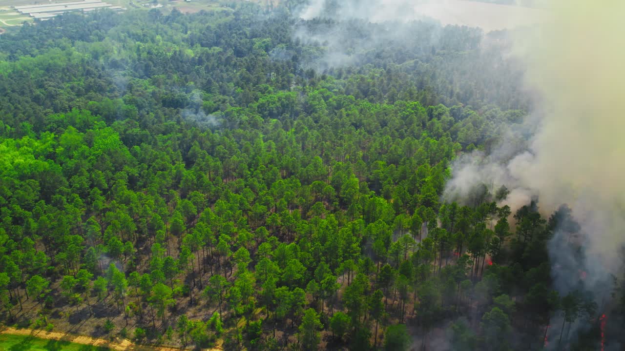 Aerial view of a forest in Georgia engulfed in thick smoke and flames as a wildfire rapidly spreads, contrasting green treetops with the advancing line of fire and dense haze.