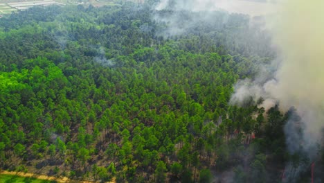 aerial view of a forest in georgia engulfed in thick smoke and flames as a wildfire rapidly spreads, contrasting green treetops with the advancing line of fire and dense haze.