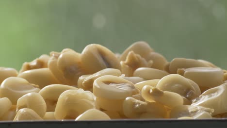 boiled choclo corn steaming on a plate for the peruvian ceviche