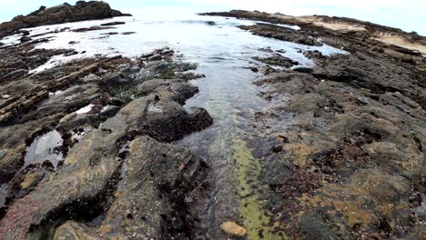 low tide at point lobos nature reserve in carmel, california