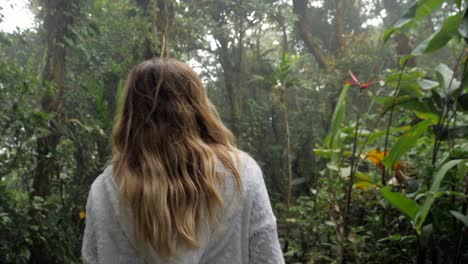 rear view of young woman walking in tropical rainforest exploring nature and enjoying national park. people travel exotic destination