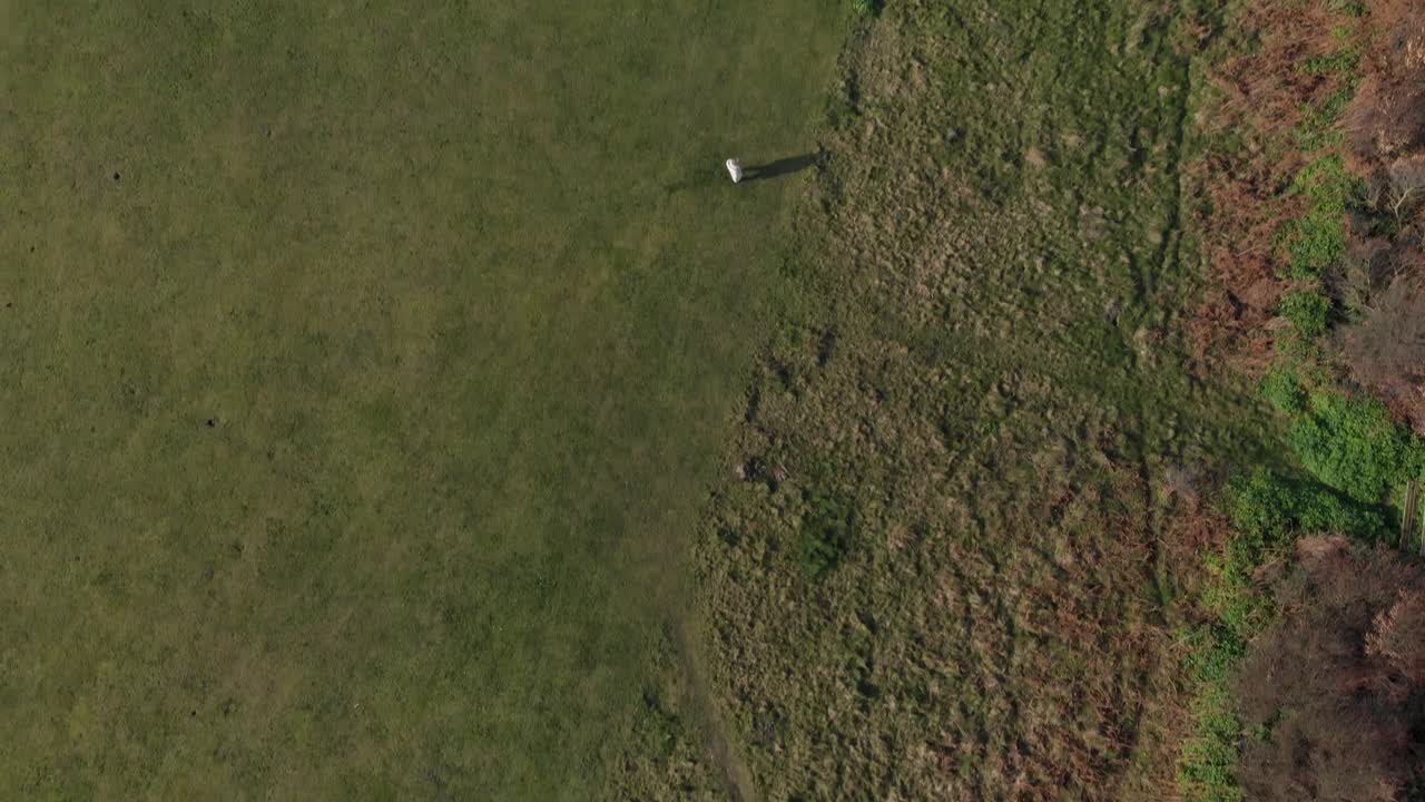 영국, 크로머 절벽의 그린 필드 위의 공중 오버헤드 클립