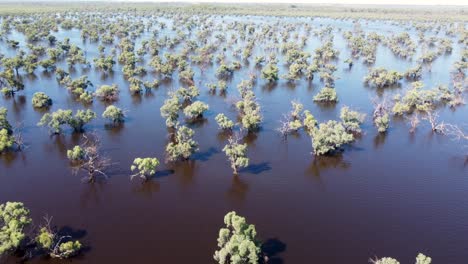 antena dron apaisada matorral desbordamiento rio lago interior desastre natural sur de australia adelaida mildura viajar turism ambiente victoria australia 4k