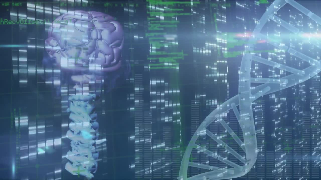 Animation of human brain, dna strand spinning and data processing