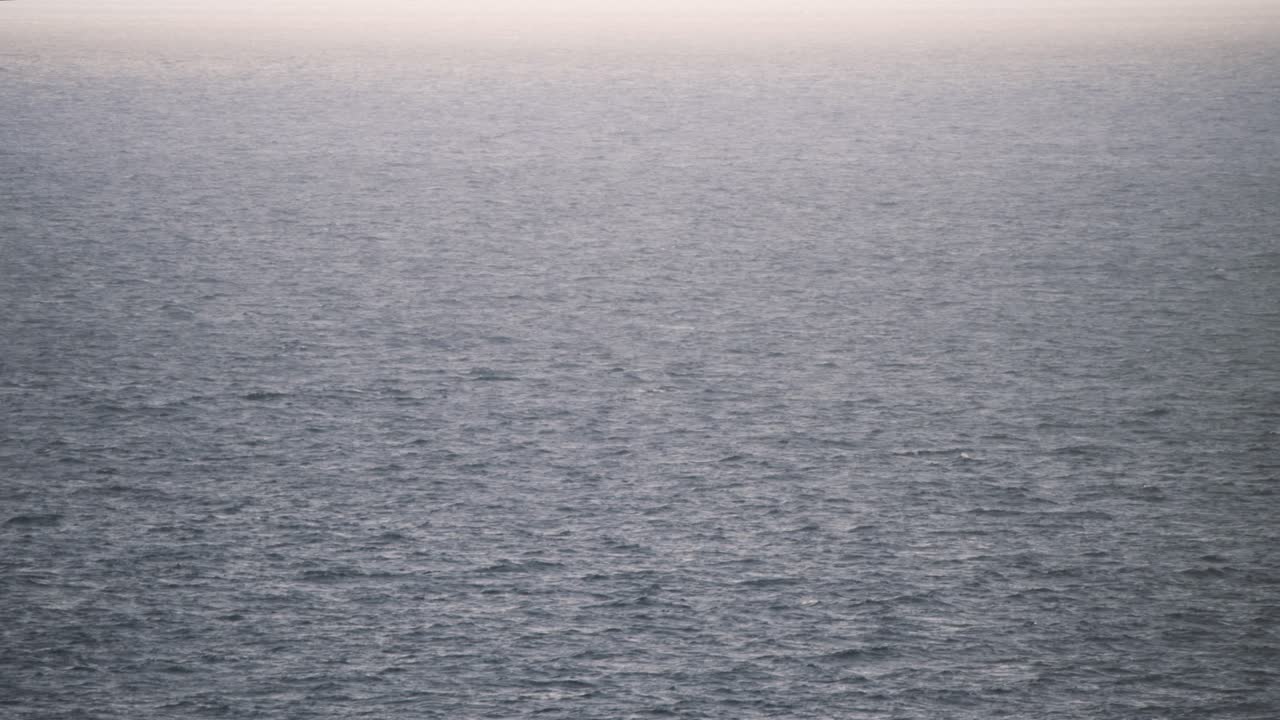 아이슬란드 의 흐릿 한 바 ⁇ 물 에서 수중 으로 다이빙 하는 고래 의  ⁇ 리 지느러미