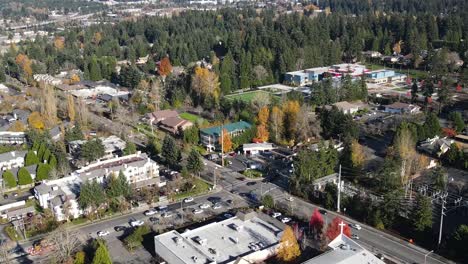 drone flight over bellevue, washington