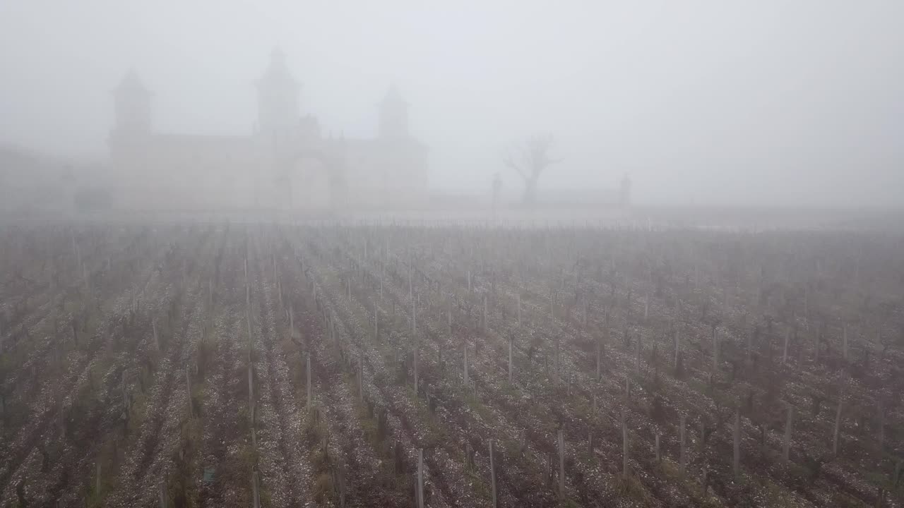 adelante aéreo ascendiendo sobre el viñedo con el castillo de cos d'estournel en segundo plano en un día brumoso, burdeos en francia