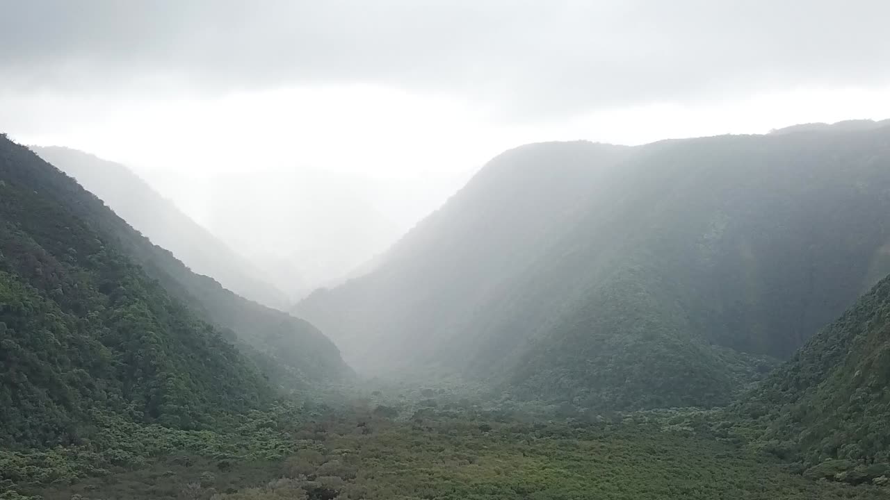 A mist-covered green valley enclosed by towering forested mountains, with soft light filtering through the overcast sky. Captures a serene and untouched natural landscape.