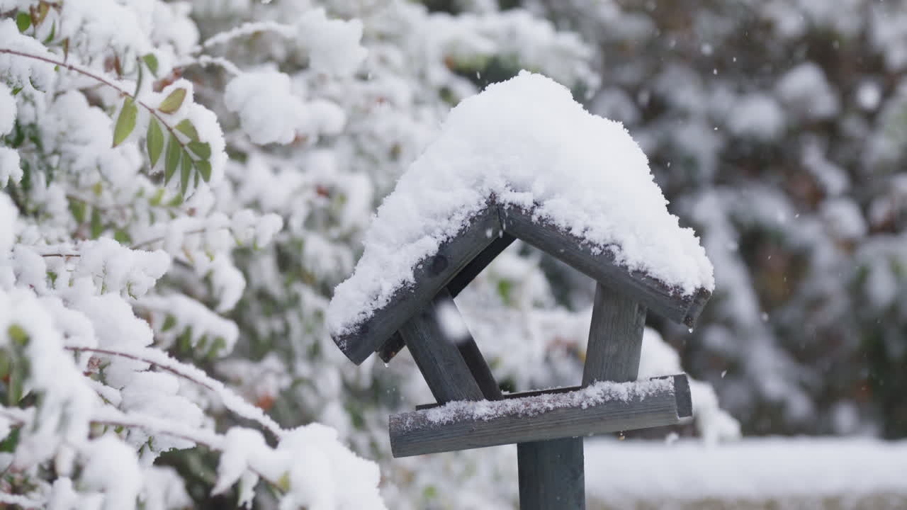 裏庭の庭で雪に覆われた巣箱またはバードフィーダー、スローモーションでの降雪。